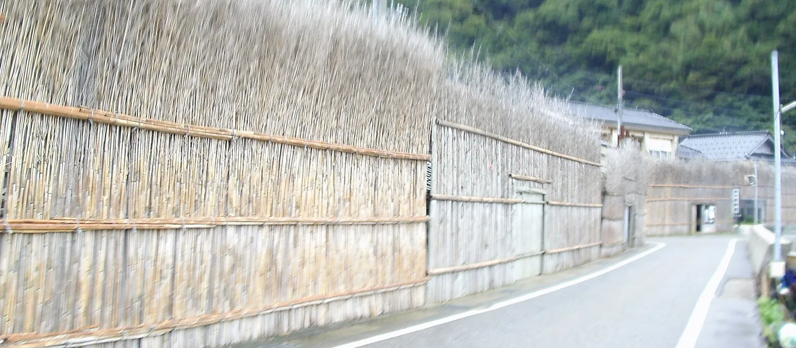 日本海からの季節風を防ぐ、竹を高く並べた間垣が道沿いに続く輪島市大沢の集落