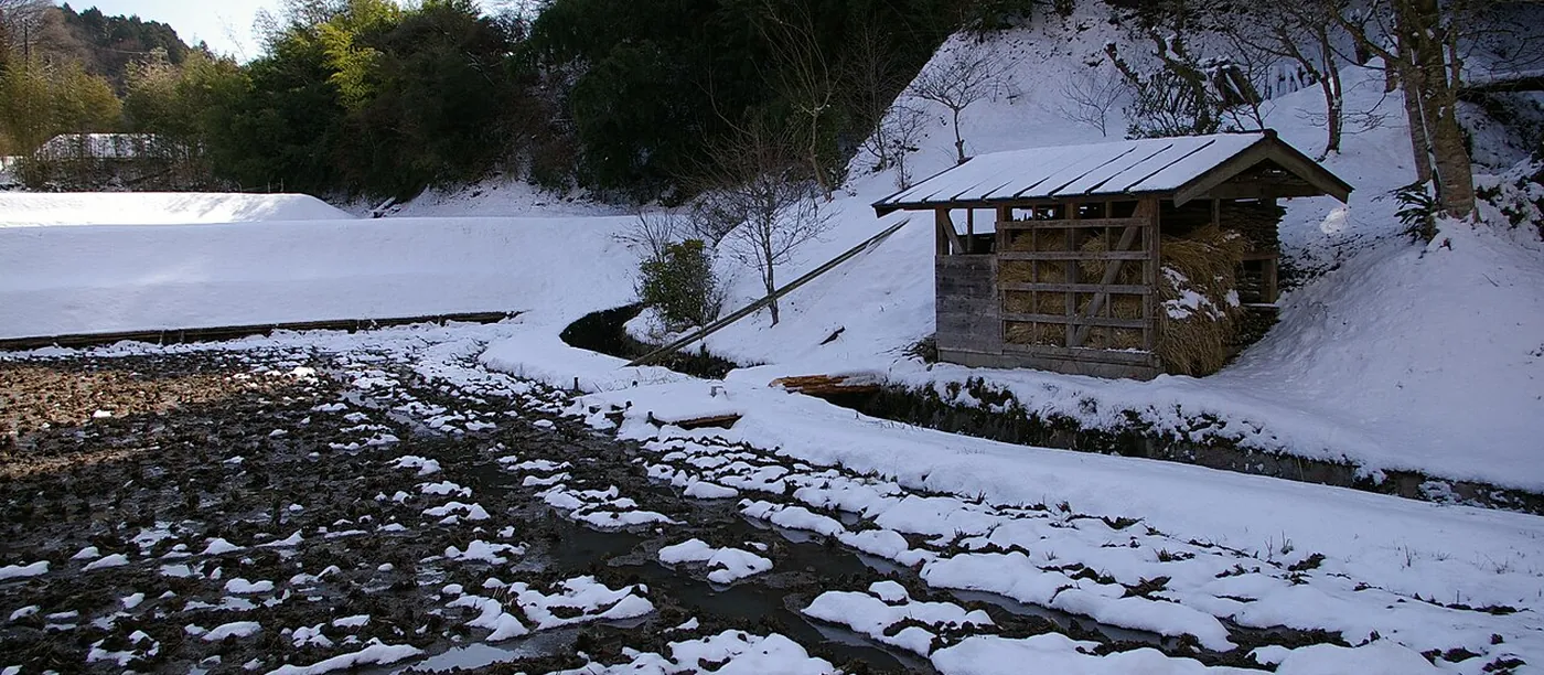 雪が残る田の脇に建つ、板壁とトタン屋根の小さな農小屋。中に稲わらが積まれている(岐阜県中津川市)
