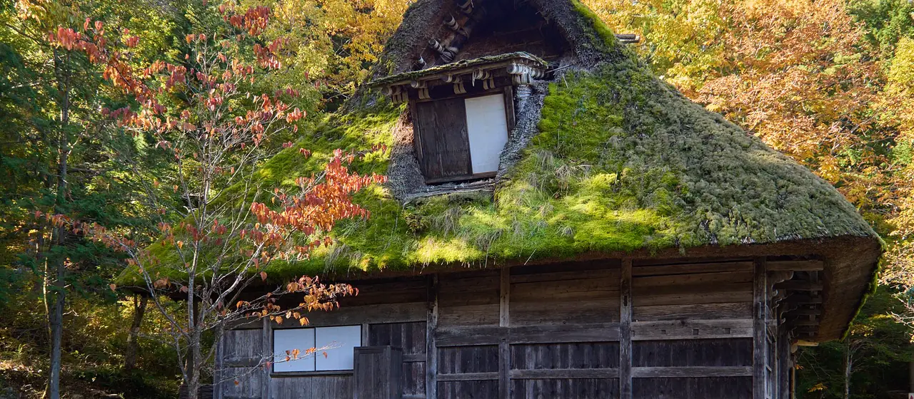 茅葺きの屋根一面に苔が生え、板壁が灰色に古びた古民家(岐阜県高山市)