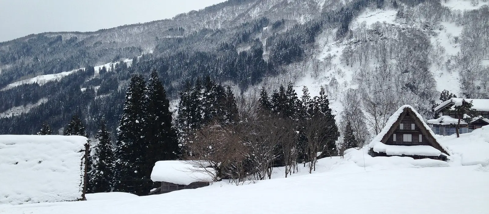 雪をかぶった山を背に、屋根まで雪に埋もれた民家があちこちにある南砺市五箇山相倉の集落